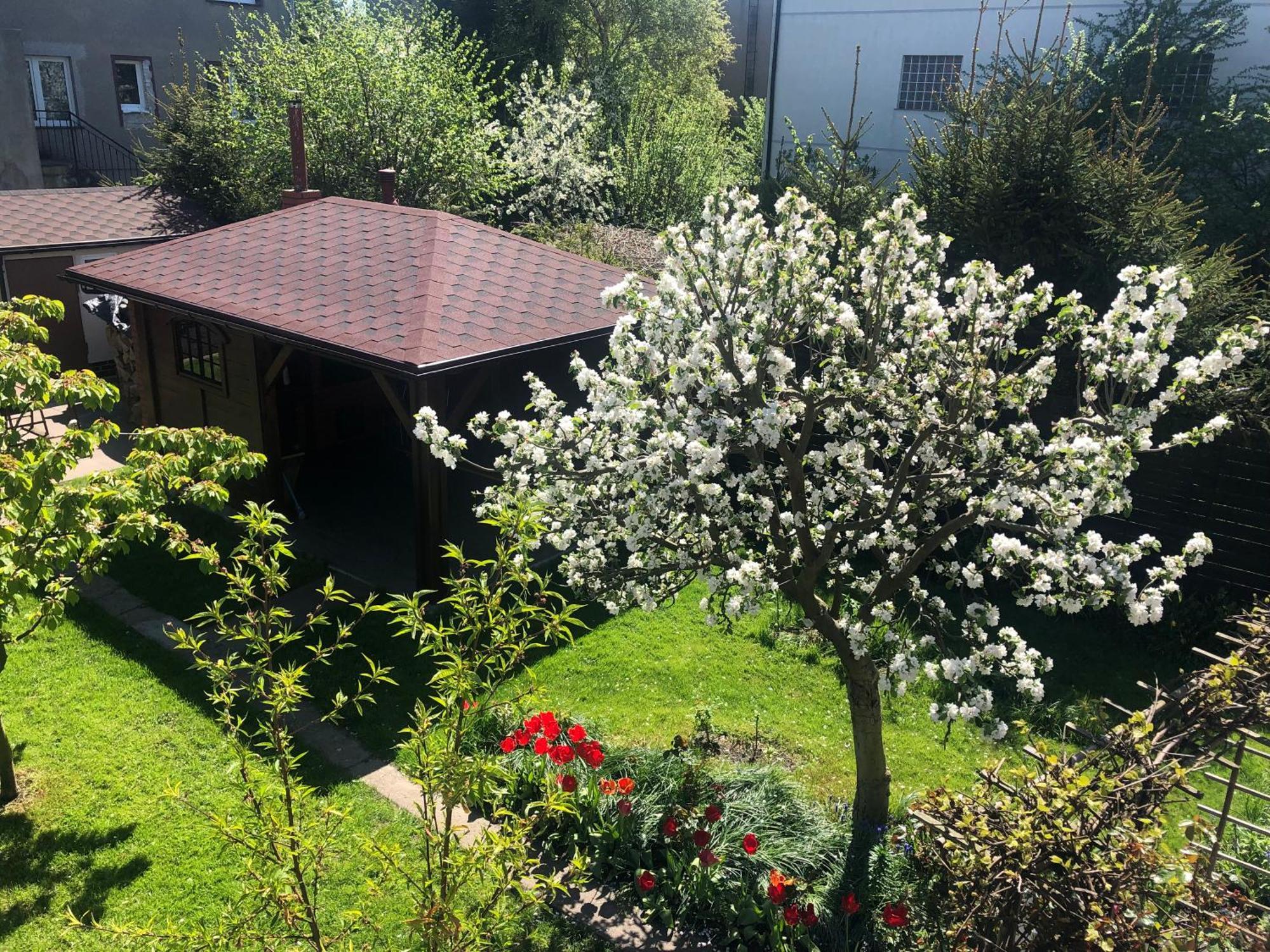 Apartamento U Henryki Kołobrzeg Exterior foto